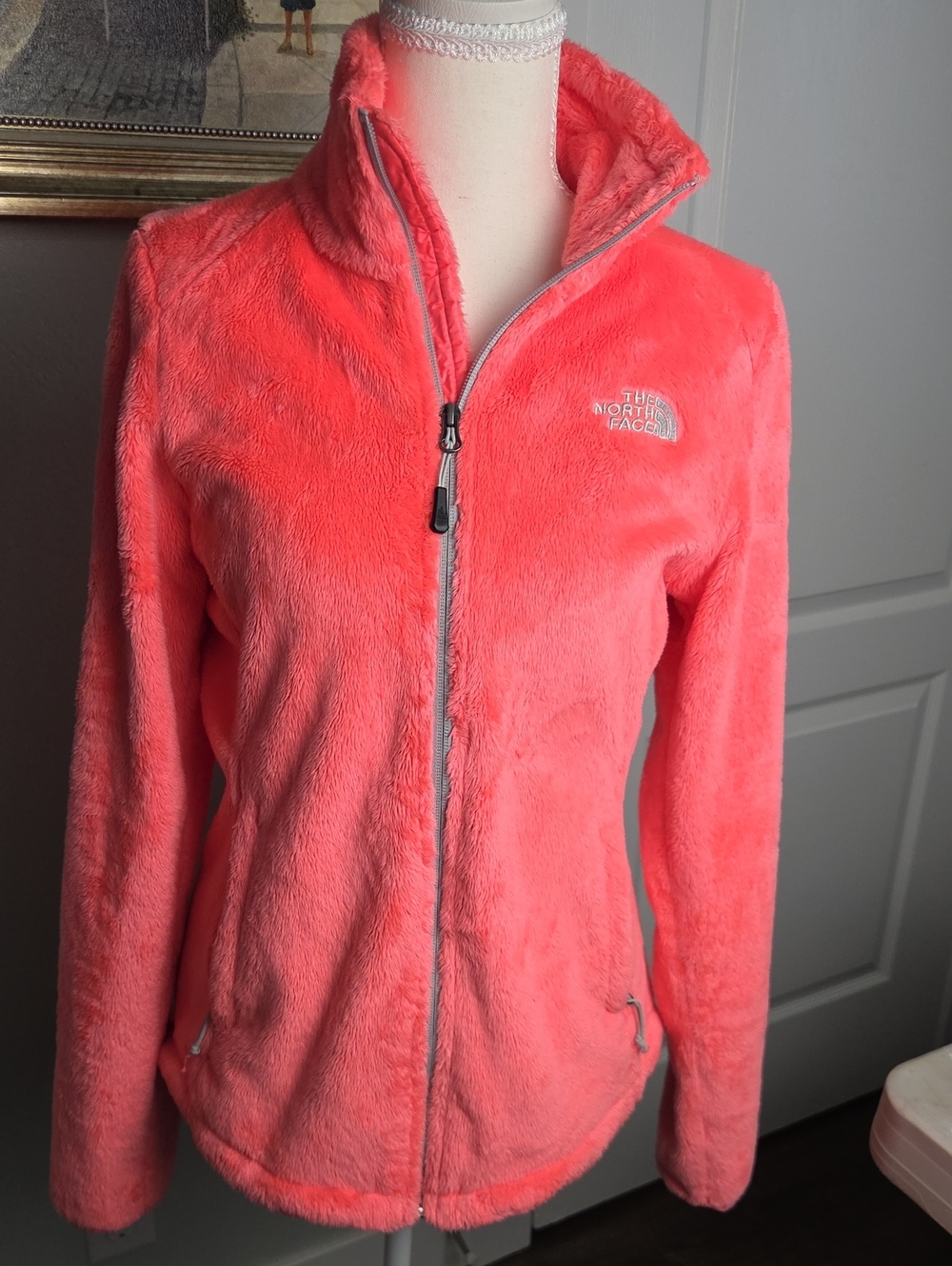 The North Face Coral Pink Plush Full-Zip Teddy Jacket Size Small